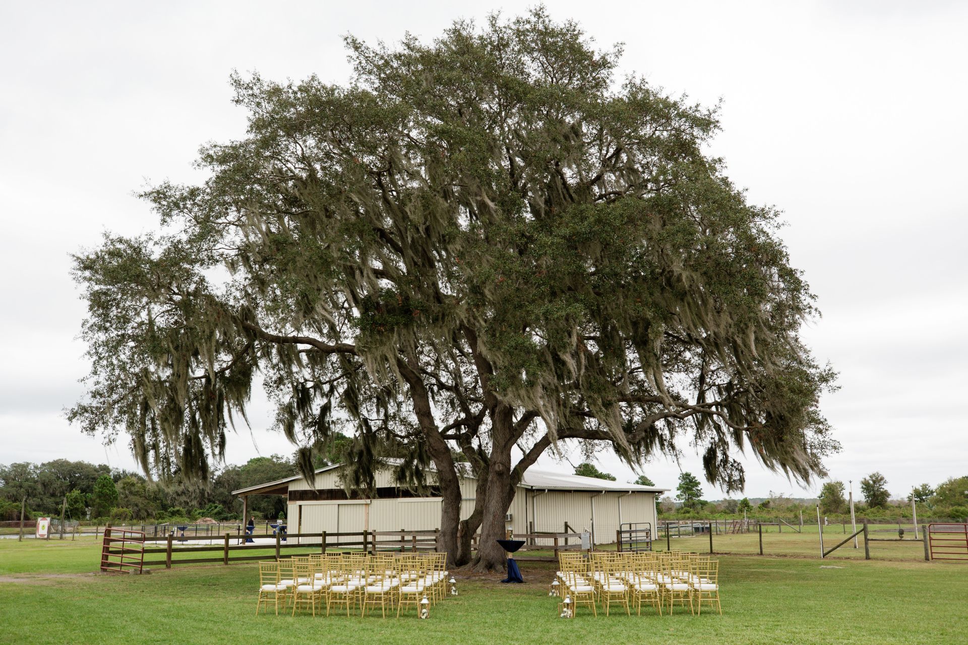 aVenue Weddings at 23 Acres Farm